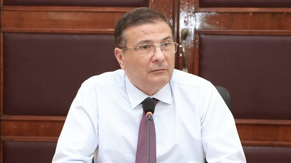 وزير الزراعة: تحسن ملحوظ فى إنتاجية القمح بنسبة زيادة تتراوح بين 7% و10%