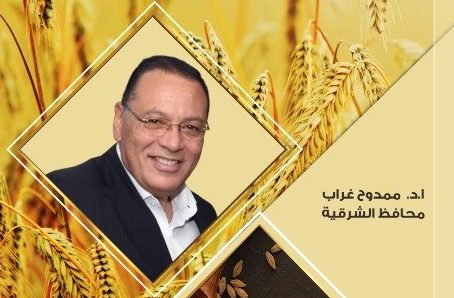 شون وصوامع محافظة الشرقية تتسابق في الإنتهاء من إستلام القمح من المزارعين