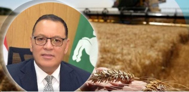 إستمرار توريد الذهب الأصفر لصوامع وشون محافظة الشرقية