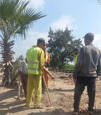 مراكز ومدن المحافظة تبدء في زراعة 100 مليون شجرة تنفيذاً للمبادرة الرئاسية للتشجير