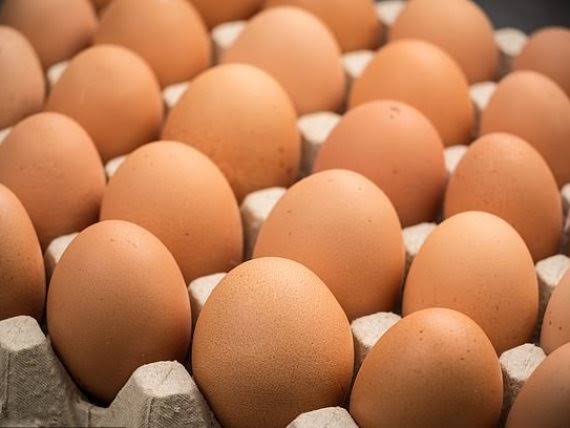 أسعار البيض …… اليوم الخميس ٤-٣-٢٠٢١