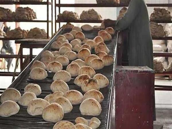 صاحب مخبز استولى على 51 مليون جنيه من أموال الدعم بالقليوبية