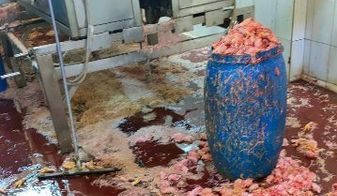 غلق وتشميع 7 منشآت غذائية تعمل بدون ترخيص وإعدام 2 طن و510 كجم أغذية فاسدة بالشرقية
