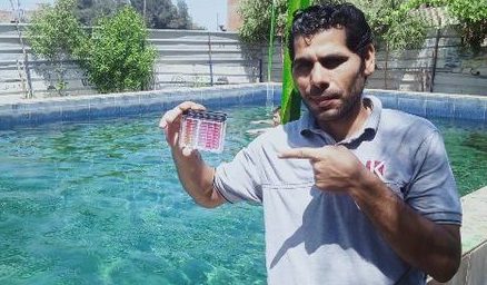 صحة الشرقية : حملات على المنشآت الرياضية الخاصة