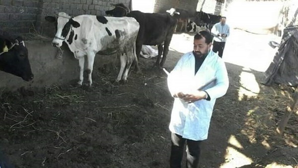 الزراعة: تحصين 5383 رأس ماشية ضد 3 أمراض وبائية خلال أسبوع
