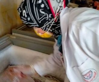 بيطري الشرقية يضبط 235 كجم لحوم ودواجن مخالفة و يُحرر 19 محضر مخالفة