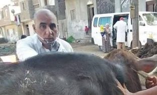 جامعة الزقازيق توجه قافلة بيطرية لقرية الشبانات مركز الزقازيق