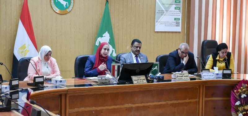 المجلس الإقليمي للسكان يستعرض محاور الخطة التنفيذية للسكان بمحافظة الشرقية