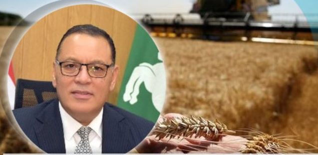 محافظ الشرقية يتابع عملية توريد محصول القمح لشون وصوامع وهناجر المحافظة