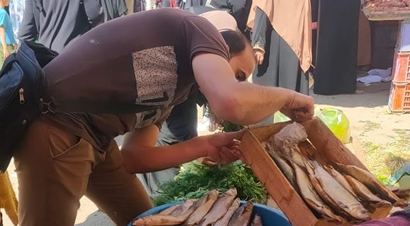 صحة الشرقية: إعدام أكثر من ٣ طن أغذية فاسدة وإغلاق ١٤ منشأة مخالفة