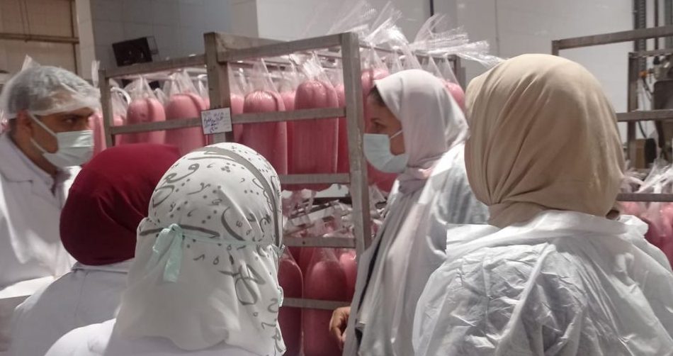 بيطري الشرقية يضبط 10 طن و 810 كجم دجاج و لحوم مخالفة و يُحرر 5 محاضر مخالفة
