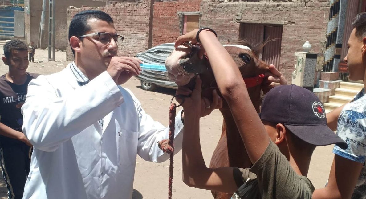 جامعة الزقازيق توجه قافلة بيطرية لقرية عزبة البحر مركز الزقازيق بالشرقية