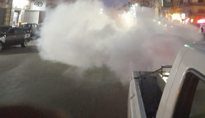 صحة الشرقية: إستمرار النشاط المكثف لمكافحة الذباب والبعوض وناقلات الأمراض