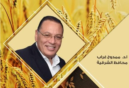 محافظ الشرقية يؤكد استمرار توريد محصول القمح لصوامع التخزين بالمحافظة