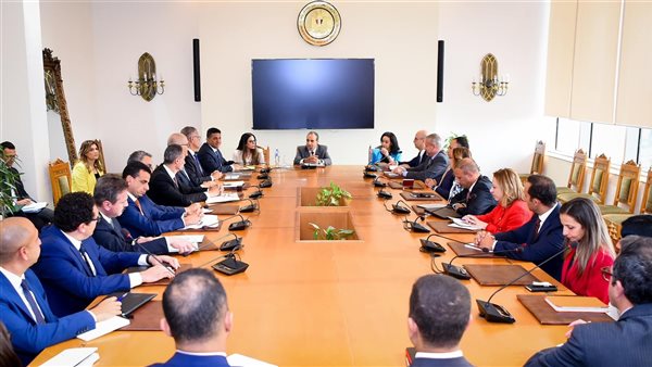 وزير الخارجية يؤكد ثقته في قدرة الدبلوماسية المصرية على الدفاع عن مصالح الدولة