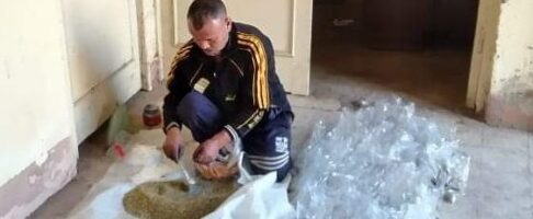 زراعة الشرقية : استمرار فعاليات الحملة القومية لمكافحة القوارض إستعداداً لزراعة المحاصيل الشتوية