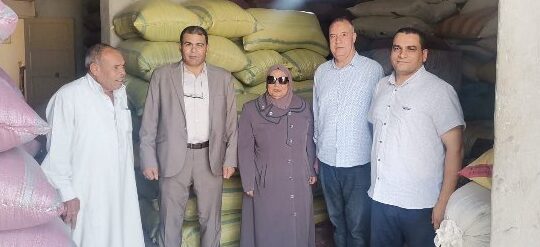 تموين الشرقية.. يشن حملات مفاجئة على المضارب والكيانات التى تقوم بتداول الأرز المحلى