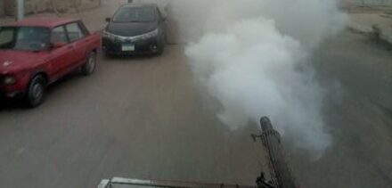 صحة الشرقية: إستمرار النشاط المكثف لمكافحة الذباب والبعوض وناقلات الأمراض