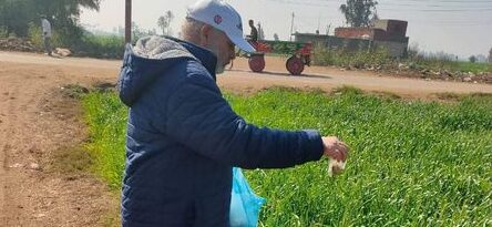 زراعة الشرقية : إستمرار فعاليات حملة صيانة محصول القمح بمراكز ومدن المحافظة