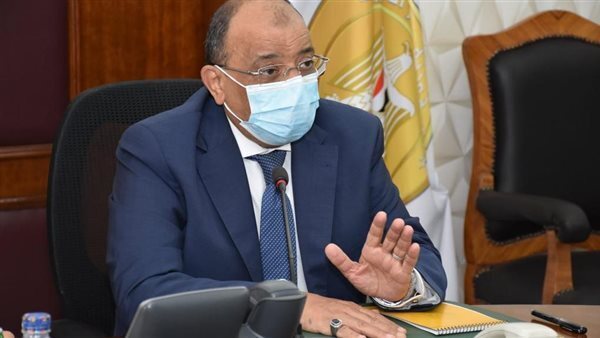 وزير التنمية المحلية يبحث مستجدات تطوير الريف مع 18 محافظا