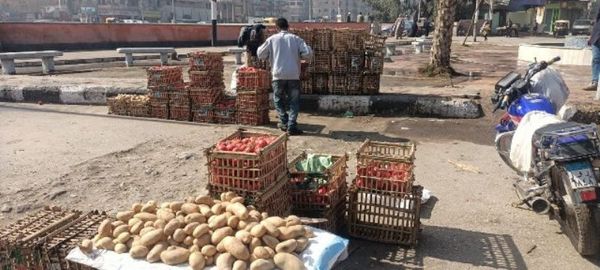 الأجهزة التنفيذية بالشرقية تشن حملات لإزالة تعديات البناء المخالف على الأراضي الزراعية