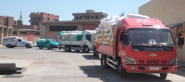 إرتفاع توريد محصول القمح لصوامع وشون محافظة الشرقية إلي ٦١٥١٥٣ طن و ٨٩٠ كيلو