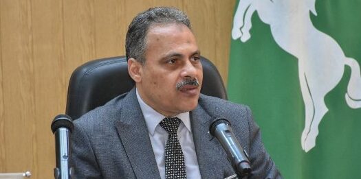 محافظ الشرقية يُشيد بمجهودات مديرية الصحة في تنفيذ فعاليات المبادرة الرئاسية 100 يوم صحة