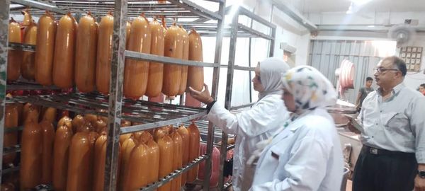 بيطرى الشرقية يضبط (٢طن و ١٤٢ كجم) دواجن و لحوم مجمدة و مصنعات لحوم مجهولة المصدر
