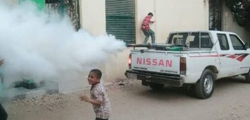 صحة الشرقية تكثف جهودها في مكافحة الذباب والبعوض وناقلات الأمراض