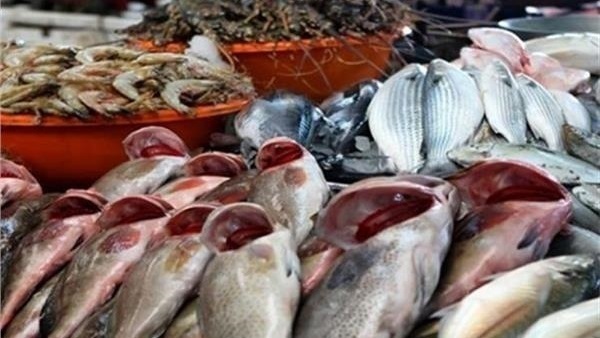 ثبات أسعار الأسماك اليوم بسوق العبور