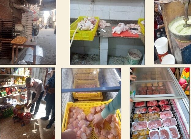 شؤون البيئة بالشرقية تقوم بالتفتيش على (1630) منشأة غذائية وصناعية وصحية خلال2024