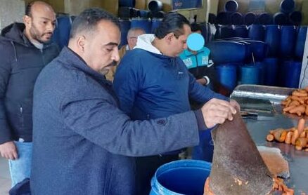 صحة الشرقية تضبط ٣١ طن وإعدام ٩٥٠ كجم مخللات فاسدة بأولاد صقر