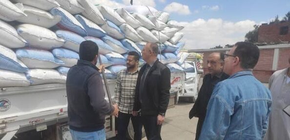 المواقع التخزينية تستقبل ٥٩٤ طن و ٨٧٠ كيلو من الذهب الأصفر بنطاق محافظة الشرقية