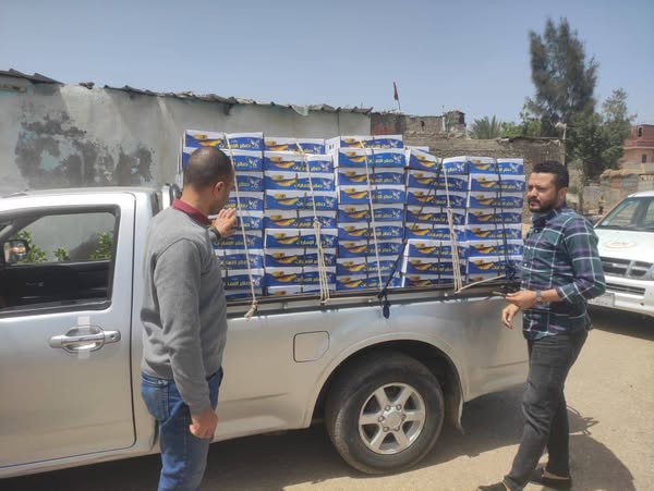 ضبط 20 طن رنجة وأسماك مدخنه غير صالحة للإستهلاك الآدمي وبدون فواتير بالشرقية