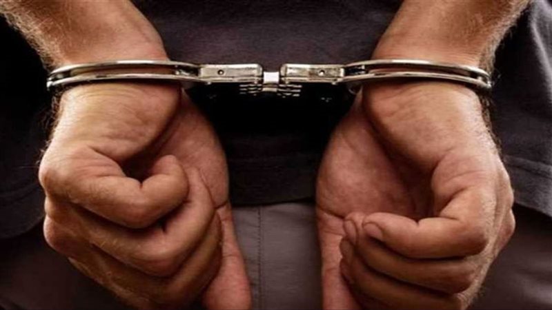 حبس 10 متهمين بنشر أخبار كاذبة والتحريض ضد الدولة