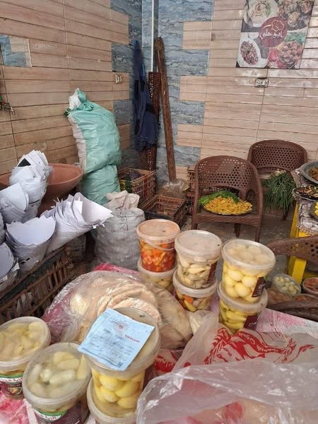 شؤون البيئة بالشرقية :تقوم بالتفتيش على 109منشأة غذائية وصناعية وتحرر (306) محضر