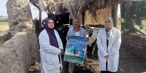 بيطري الشرقية: تحصين (٥٦٧ ألف و٧٩٦) رأس ماشية ضد مرضى الحمى القلاعية و الوادي المتصدع