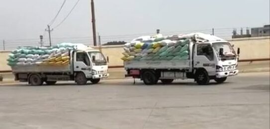 المواقع التخزينية تستقبل ٢٥٩٥٥٨ طن و ٦٠٣ كيلو جرام من الذهب الأصفر بالشرقية