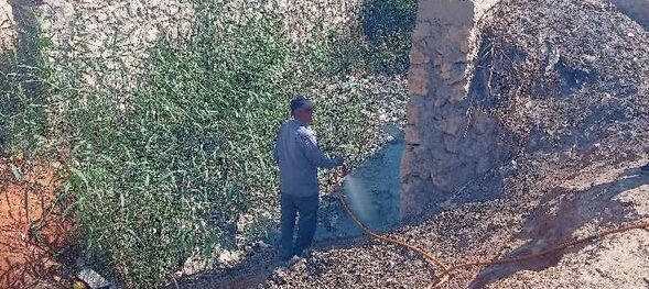 صحة الشرقية تكثف جهودها في مكافحة ناقلات الأمراض بالمحافظة