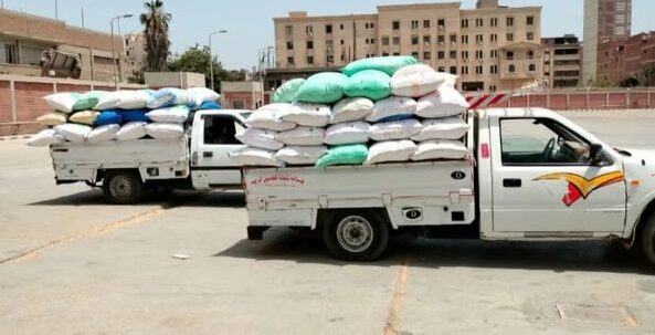 صوامع وشون الشرقية تستقبل ٥٩٤٧٣١ طن و ٧٤٩ كيلو من الأقماح المحلية