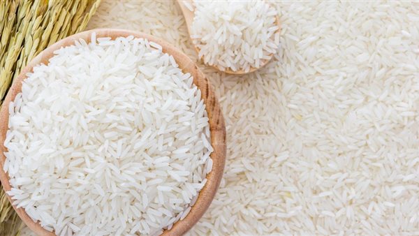 محافظ الشرقية يتابع انتظام سير عملية توريد محصول الأرز الشعير لمواقع التجميع