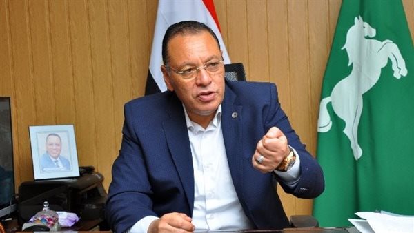 محافظ الشرقية : فصل التيار الكهربائي عن المنازل المخالفة