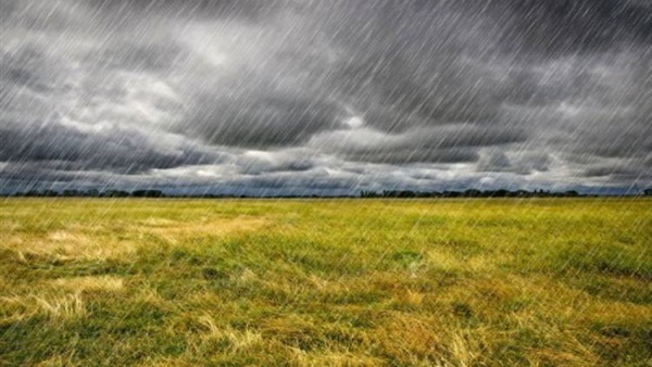 15 توصية للفلاحين للتعامل مع موجة الطقس السيئ