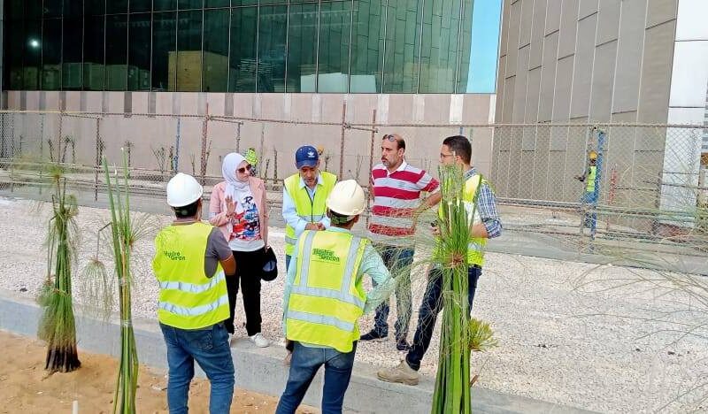 “بردي الشرقية” يزهر في قلب المتحف المصري الكبير ويجسّد رمز الكتابة الأولى