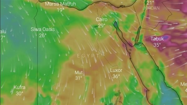هيئة الارصاد: أمطار على السواحل الشمالية.. تفاصيل طقس الـ72 ساعة المقبلة