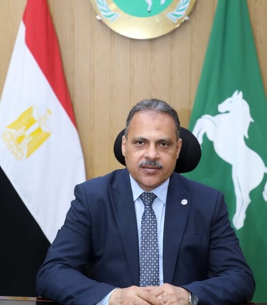 الإنتهاء من تنفيذ ٢١ ألف و ٩٦٦ مشروع بقيمة ٣ مليار و ٥٧٤ مليون و ٦٦٥ ألف جنيه بالشرقية