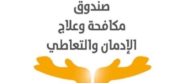 مدير صندوق مكافحة الإدمان: ليس شرطًا حجز كل الحالات ويتم متابعة المتعافين عن بعد