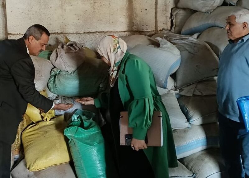 تموين الشرقية: ضبط 113 طن مواد بترولية وأعشاب و26 ألف علبة دواء غير صالحة