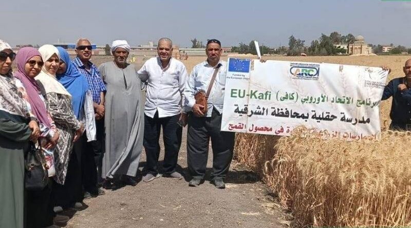 زراعة الشرقية تنفذ (٥) فعاليات إرشادية ورقابية لدعم المزارعين وزيادة الإنتاج وحماية البيئة