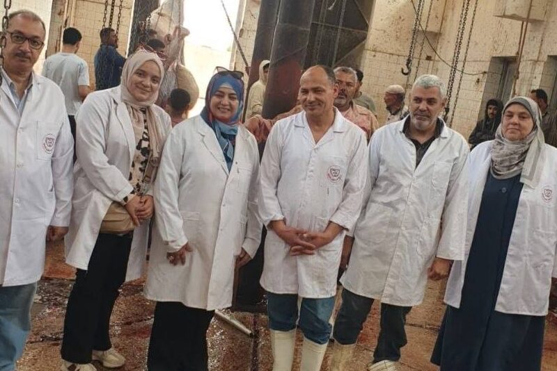 بيطري الشرقية يٌنهى ذبح (١١٥٣) أضحية بالمجان فى أول أيام عيد الأضحي المبارك